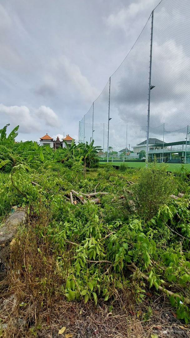 tanah badak agung renon