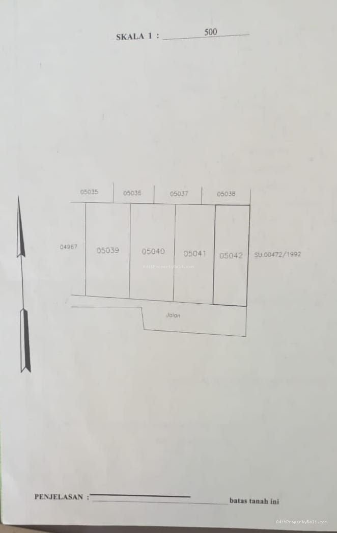 tanah badak agung renon