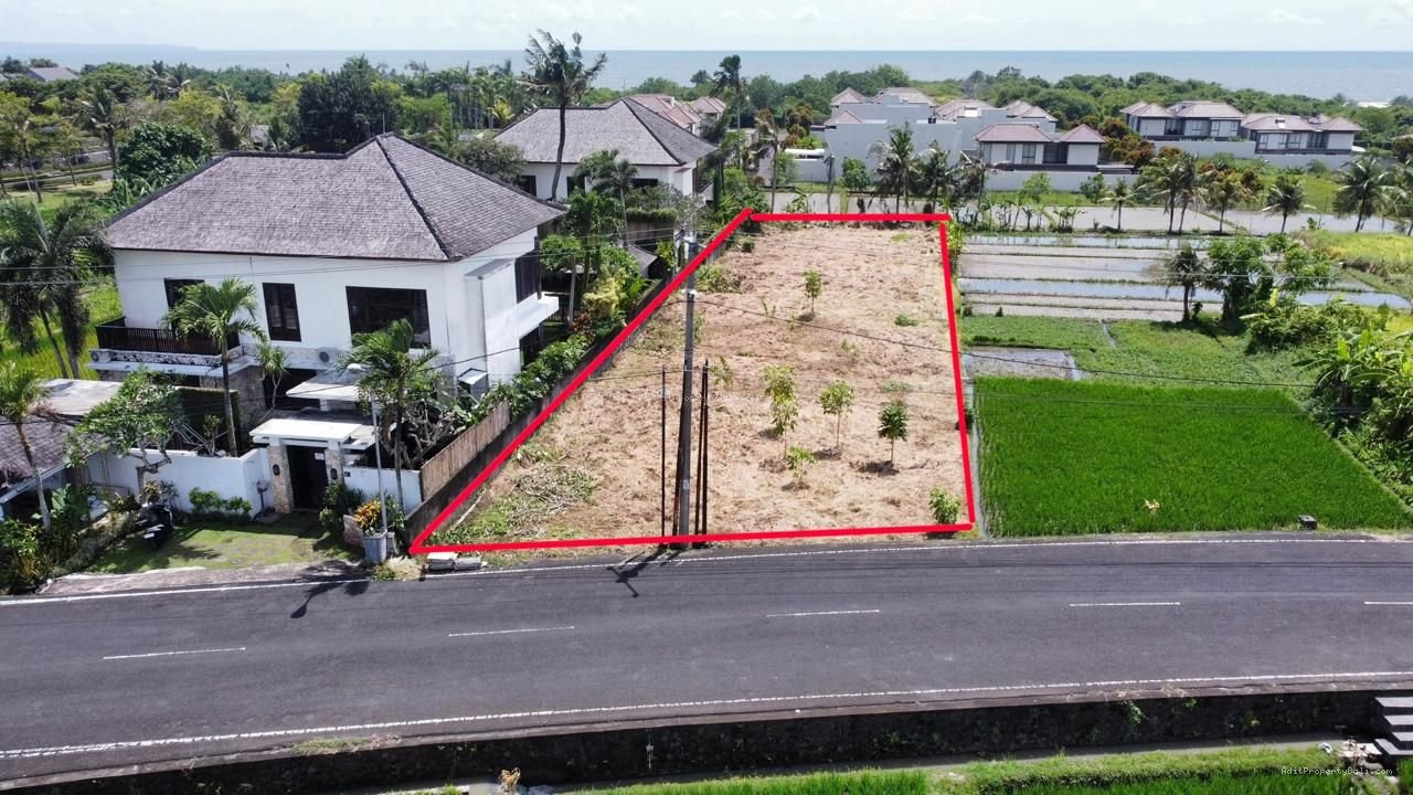 Tanah premium kedungu