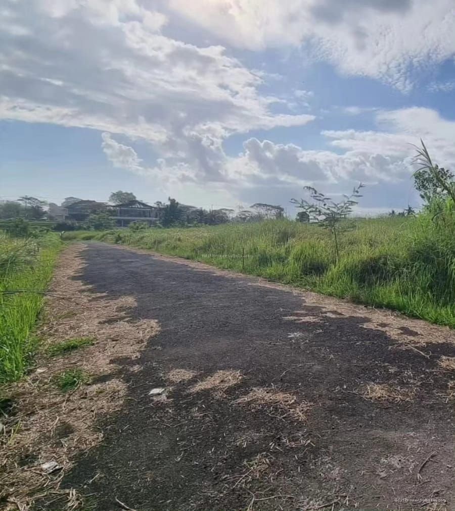 tanah premium seseh bali