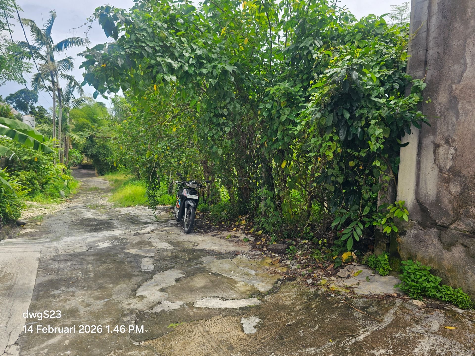 tanah umalas klecung