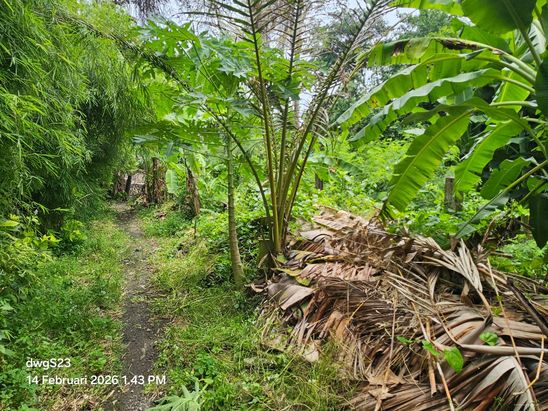 tanah umalas klecung