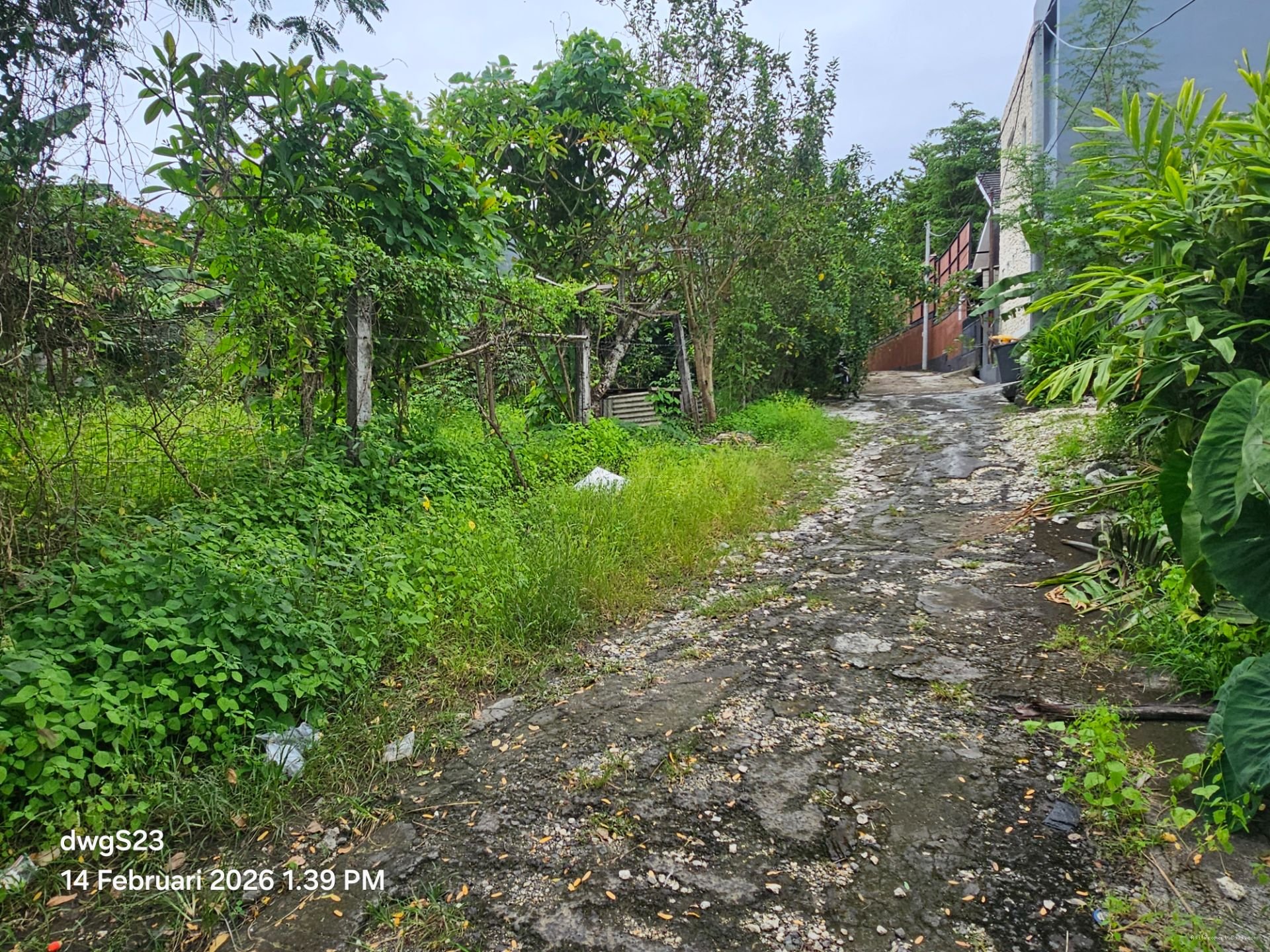 tanah umalas klecung