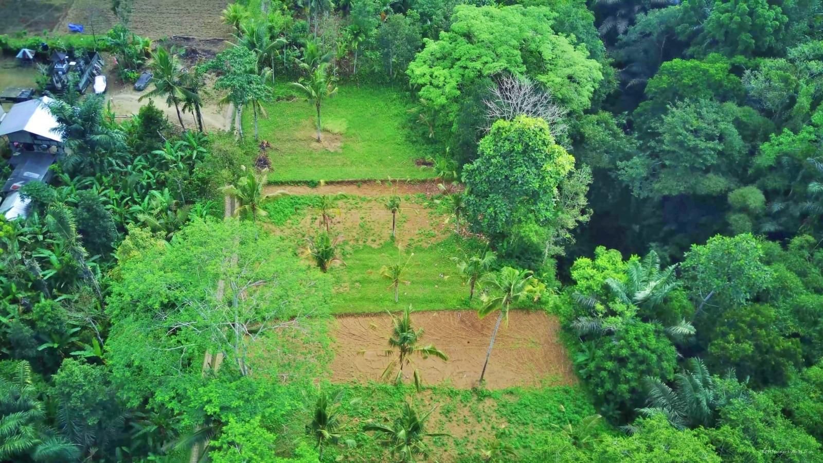 tanah payangan ubud