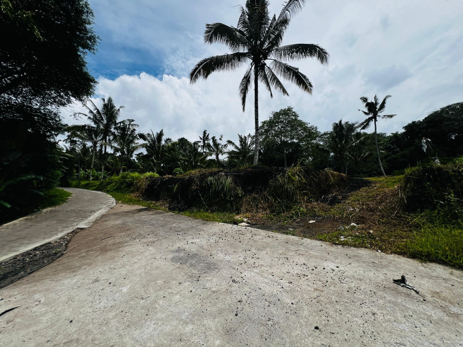 tanah payangan ubud