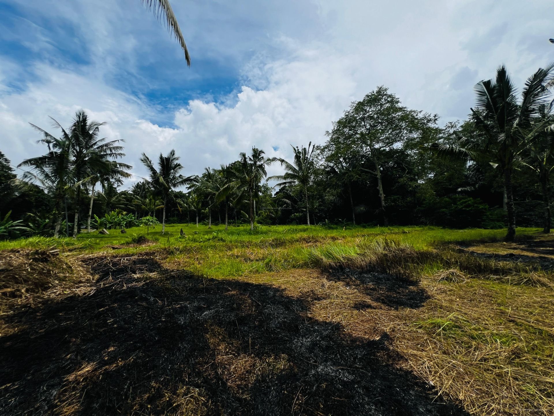 tanah payangan ubud