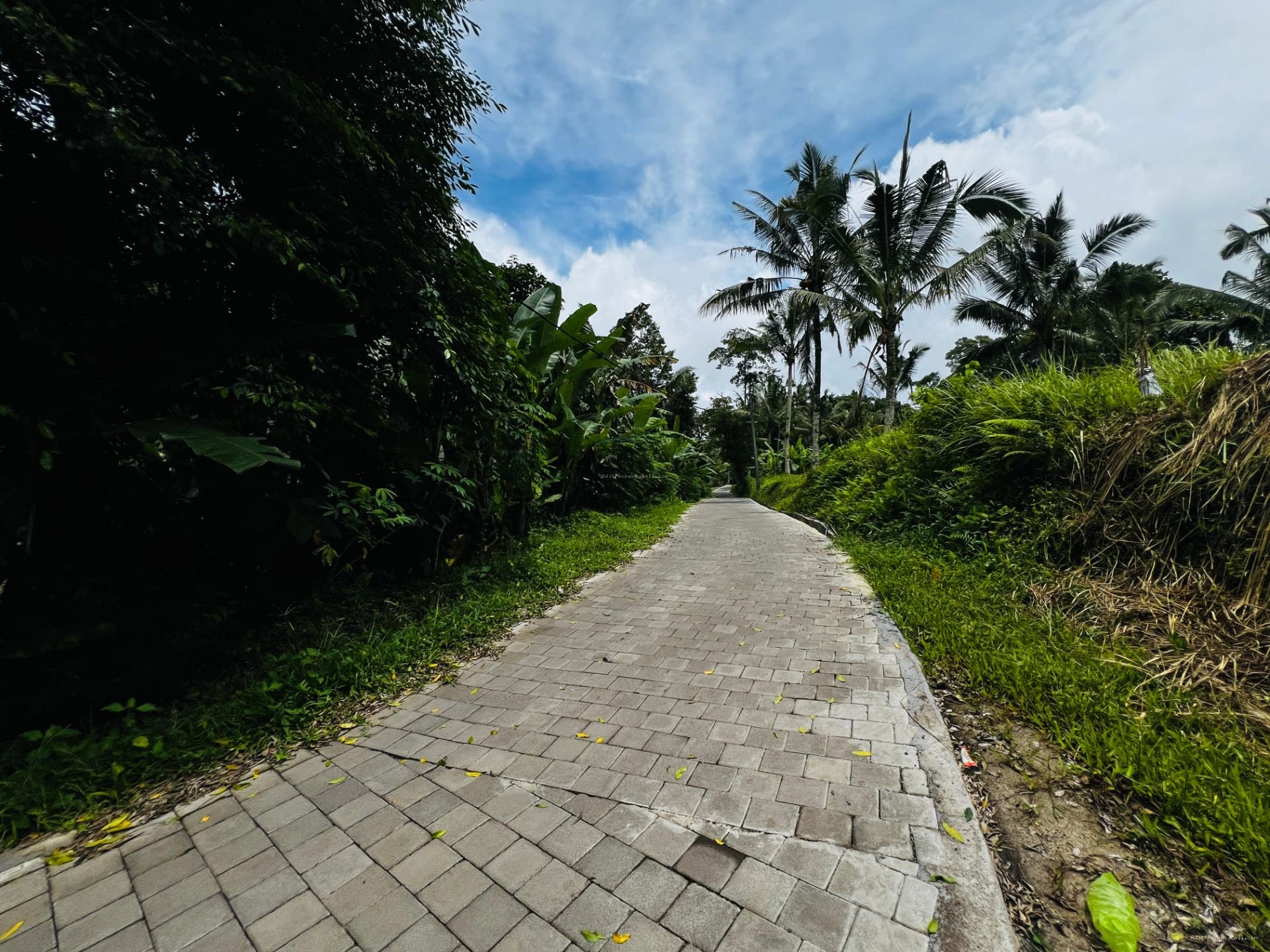 tanah payangan ubud