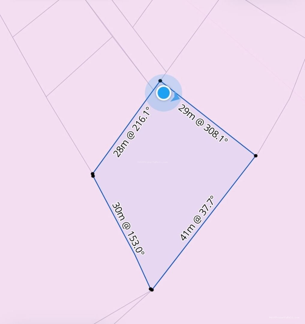 tanah berawa