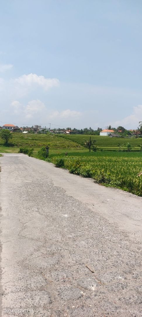 tanah komersil nyanyi tb