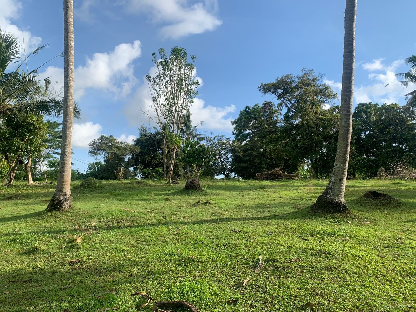 tanah boniann