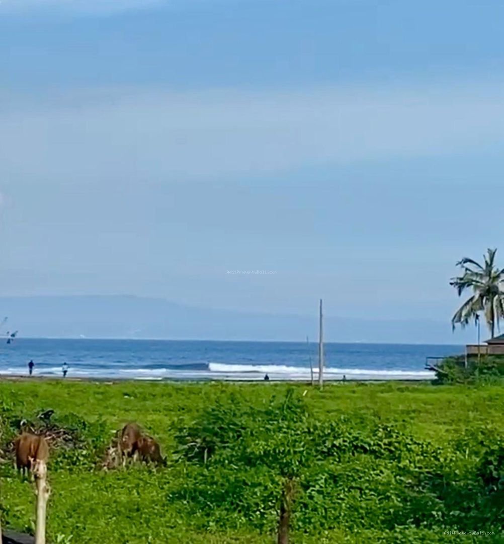 tanah ketewel A
