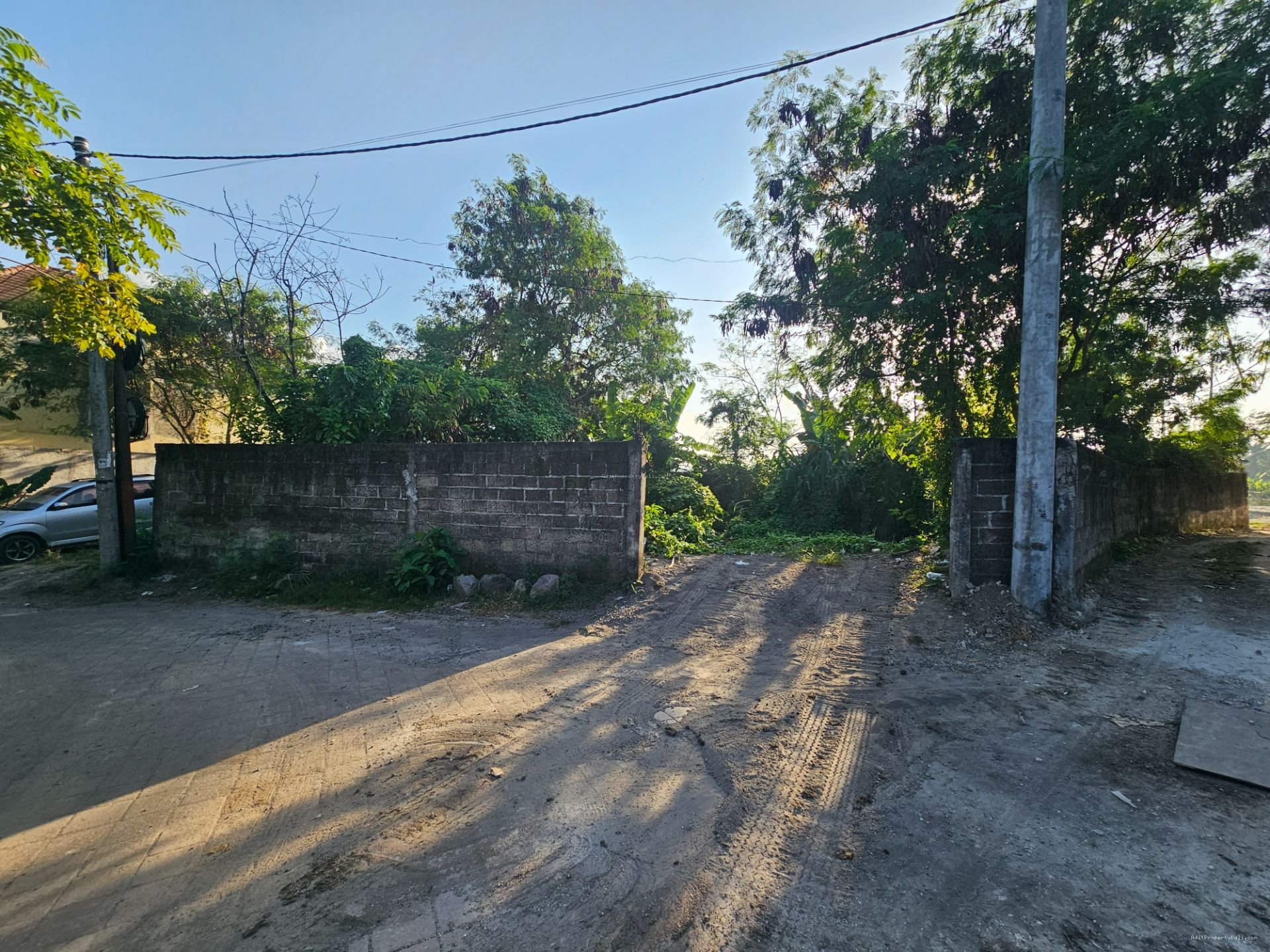 tanah padonan dlg
