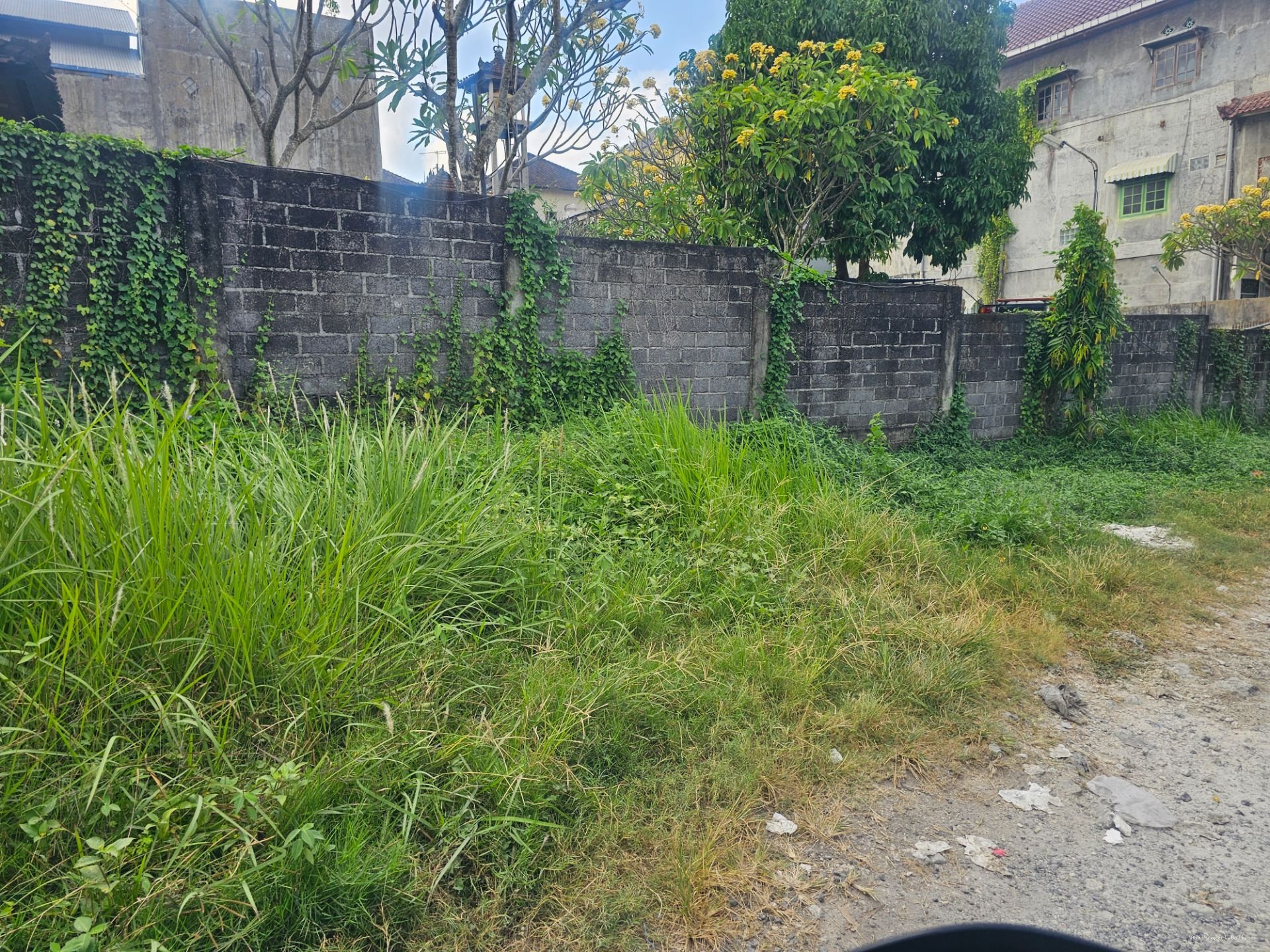 tanah mahendradata P