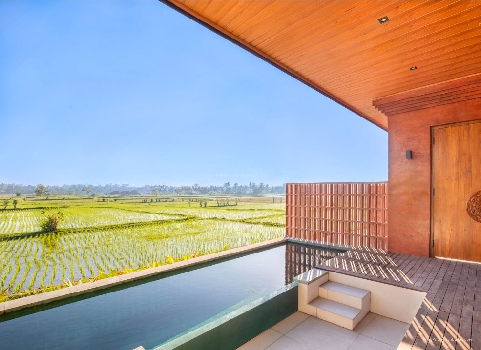 2 unit villa view sawah ubud