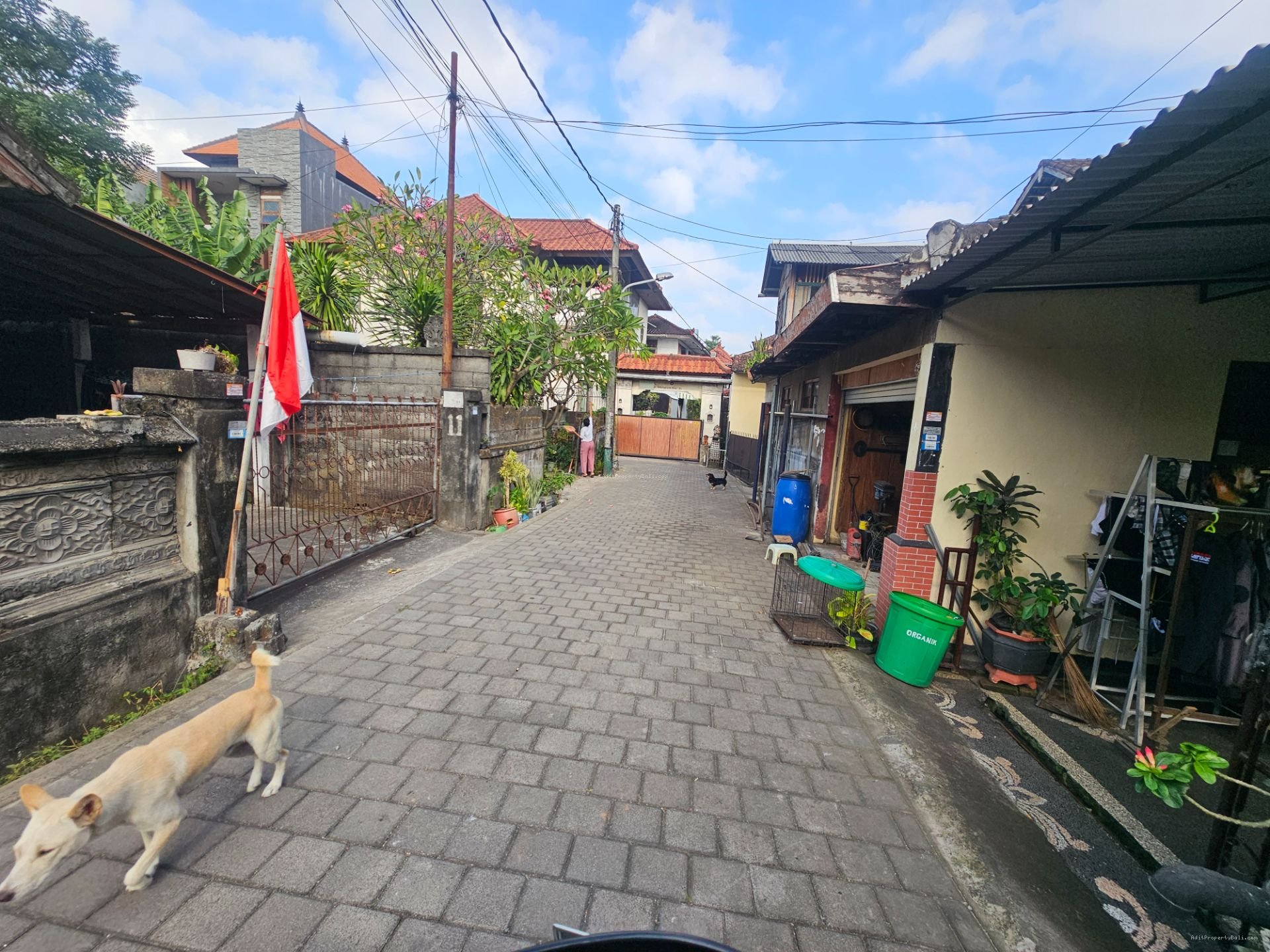 tanah ubung