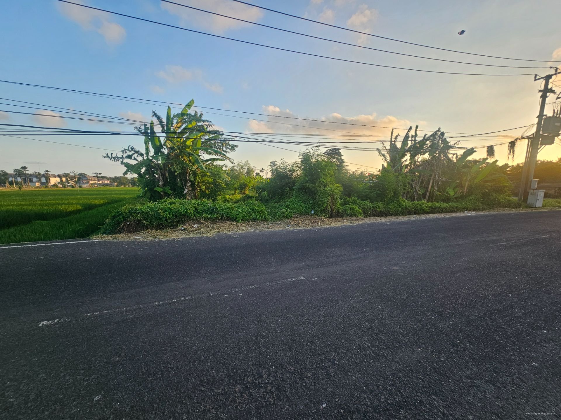 tanah premium ciputra tbn