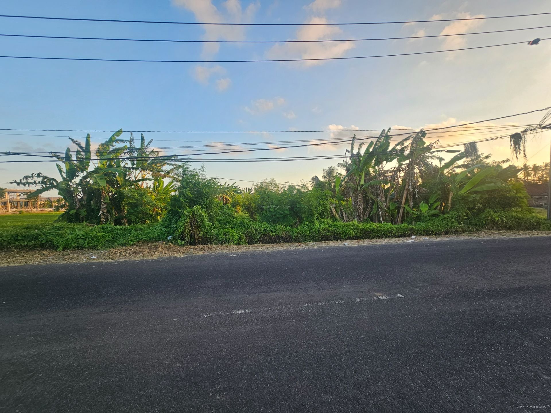 tanah premium ciputra tbn