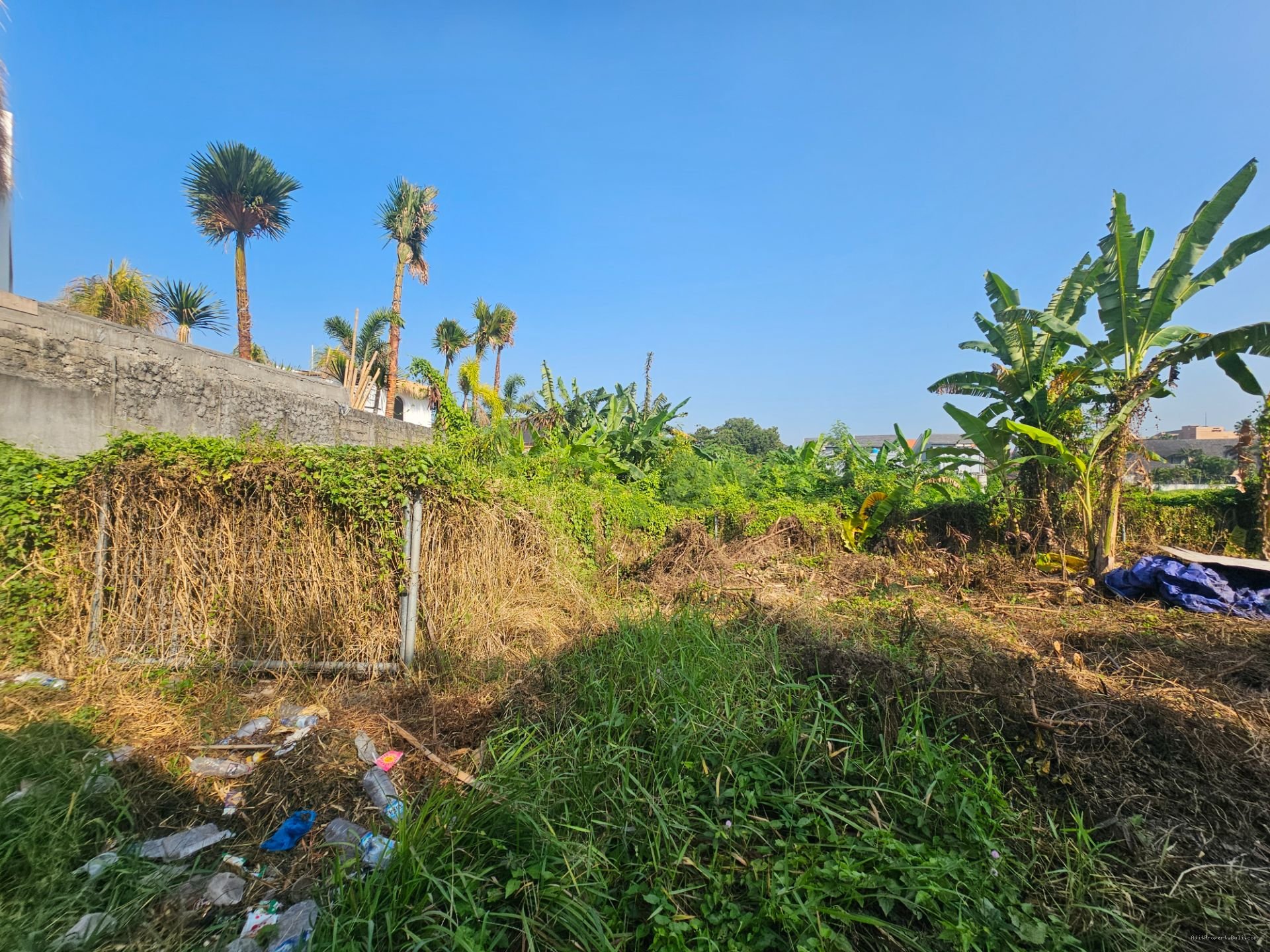 tanah pererenan Cg